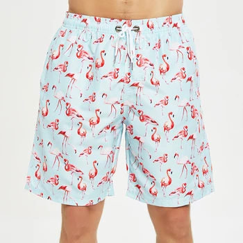 Plus Size Быстросохнущие Kratke hlače za trčanje s Flaminga Gospodo Muške kupaće kostime Muške kupaće kostime i Kratke hlače Trkači za surfanje Sport Teretana Plaža odjeća Muški